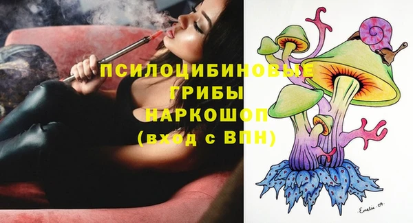 кокс Вяземский