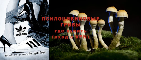 меф Горнозаводск
