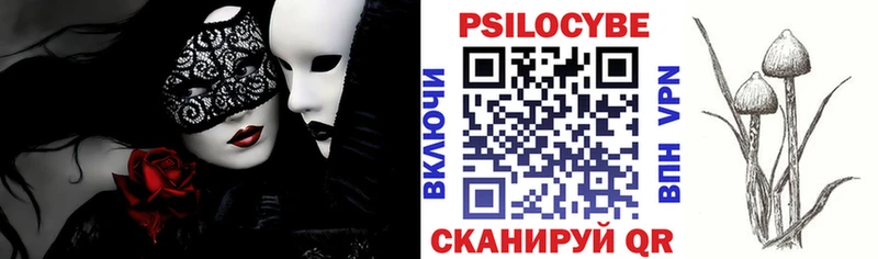 Псилоцибиновые грибы Psilocybine cubensis  Зарайск 